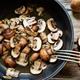 Image for article titled Mushrooms Will Soon Be Inescapable